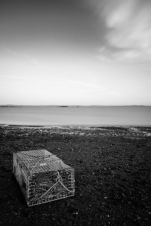 trapped on shore